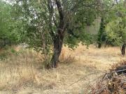 Vente Terrain 513 m2 Saint Saturnin lès Avignon