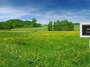 Vente Terrain 514 m2 Orvault