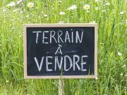 Vente Terrain 520 m2 Tourneville sur Mer