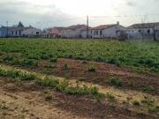 Vente Terrain 521 m2 Canet