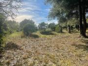 Vente Terrain constructible 523 m2 Ollioules