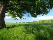 Vente Terrain 524 m2 Mourmelon le Grand