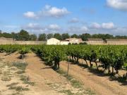 Vente Terrain 530 m2 Canet