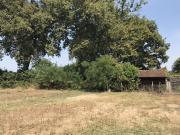 Vente Terrain 530 m2 Langon