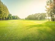 Vente Terrain 531 m2 Mourmelon le Grand