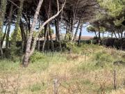 Vente Terrain 549 m2 Le bois plage en re