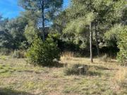 Vente Terrain 534 m2 Ollioules