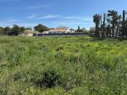 Vente Terrain 537 m2 Montfavet