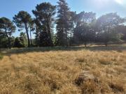 Vente Terrain 540 m2 Allan