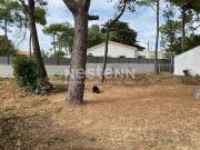 Vente Terrain 540 m2 Bretignolles sur Mer