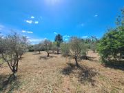 Vente Terrain 541 m2 Aix en Provence