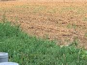 Vente Terrain 548 m2 Saint Père en Retz