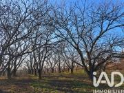 Vente Terrain 55000 m2 Ozon