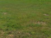 Vente Terrain 552 m2 La Plaine sur Mer