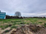 Vente Terrain 554 m2 L'Aiguillon sur Vie
