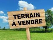 Vente Terrain 555 m2 Petit bourg