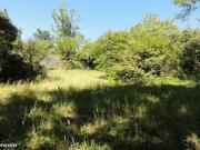 Vente Terrain 5600 m2 Cenne Monestiés