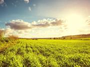 Vente Terrain 560 m2 Artannes sur Indre