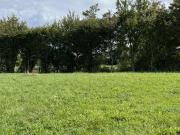 Vente Terrain 561 m2 Arçonnay