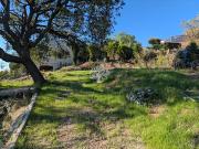 Vente Terrain 572 m2 Ollioules