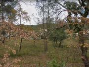 Vente Terrain 580 m2 Brignoles