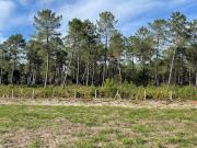 Vente Terrain 590 m2 Mios