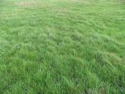 Vente Terrain 592 m2 Villecresnes