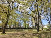 Vente Terrain 6000 m2 Meschers sur Gironde