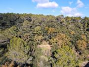 Vente Terrain 6000 m2 Serviers et Labaume