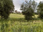 Vente terrain 6000 m² à Marrakech