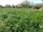 Vente Terrain 600 m2 Cadours