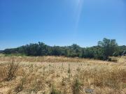 Vente Terrain 600 m2 Montagnac