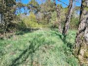 Vente Terrain 800 m2 Saint Hilaire de Riez