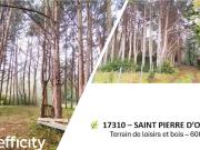 Vente Terrain 605 m2 Saint Pierre d'Oléron