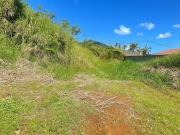 Vente Terrain 610 m2 Les makes