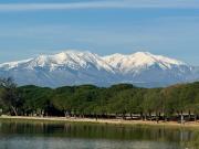 Vente Terrain 610 m2 Villeneuve de la Raho