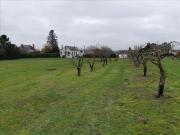Vente Terrain 6138 m2 Palluau sur Indre