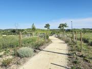 Vente Terrain 614 m2 Gignac