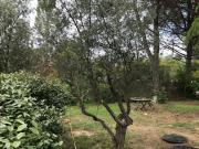 Vente Terrain 615 m2 Castries