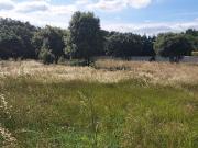 Vente Terrain 617 m2 Avignon