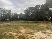 Vente Terrain 625 m2 Bollene