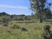 Vente Terrain 628 m2 Puget sur Argens
