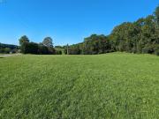 Vente Terrain 6471 m2 Foncine le Haut
