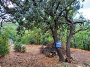 Vente Terrain 647 m2 Saint Montan