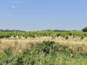 Vente Terrain 650 m2 Bédarrides Vente Terrain 650 m2 Bédarrides