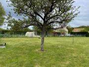 Vente Terrain 650 m2 Bretigny sur orge