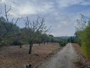 Vente Terrain 655 m2 Brignoles