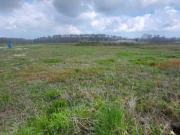 Vente Terrain 666 m2 Briatexte