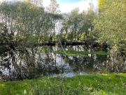 Vente Terrain 6680 m2 Nieul le Dolent