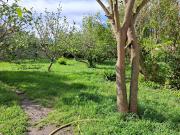 Vente Terrain 675 m2 Entraigues sur la Sorgue